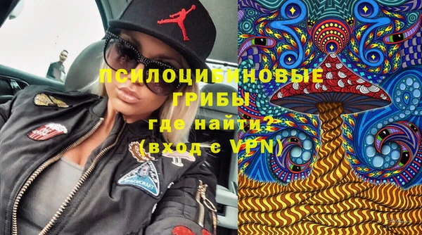 спиды Покачи