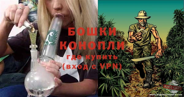 2c-b Пестово