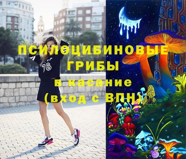 2c-b Пестово