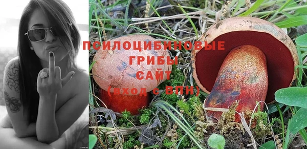 прущая мука Переславль-Залесский