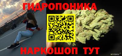 кокс Гагарин