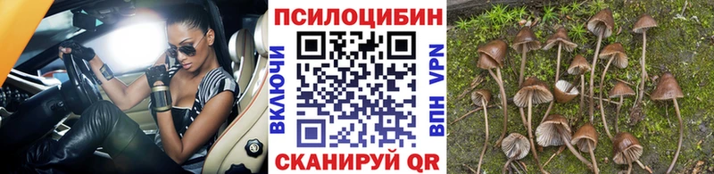 Галлюциногенные грибы прущие грибы  Удомля 