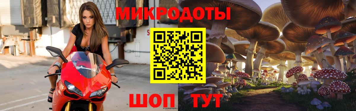 Псилоцибиновые грибы Psilocybe  Галлюциногенные грибы Psilocybine cubensis  Удомля 